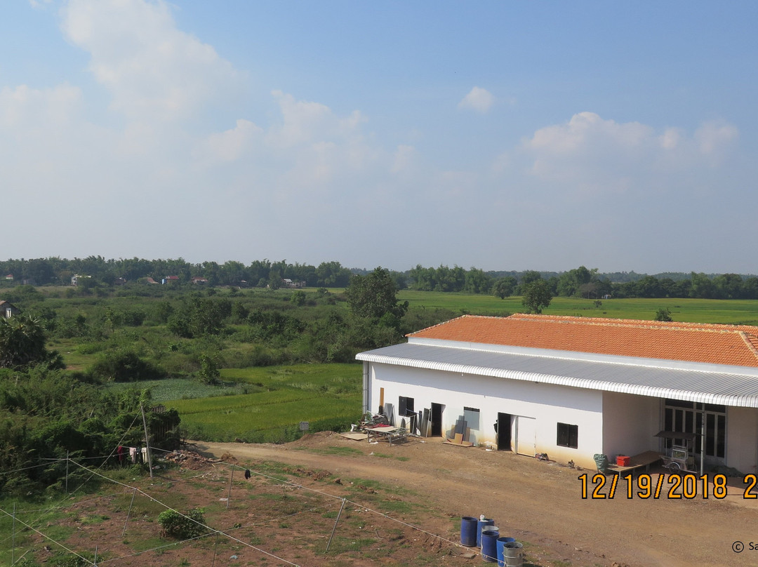 River Dolphin Hotel主图