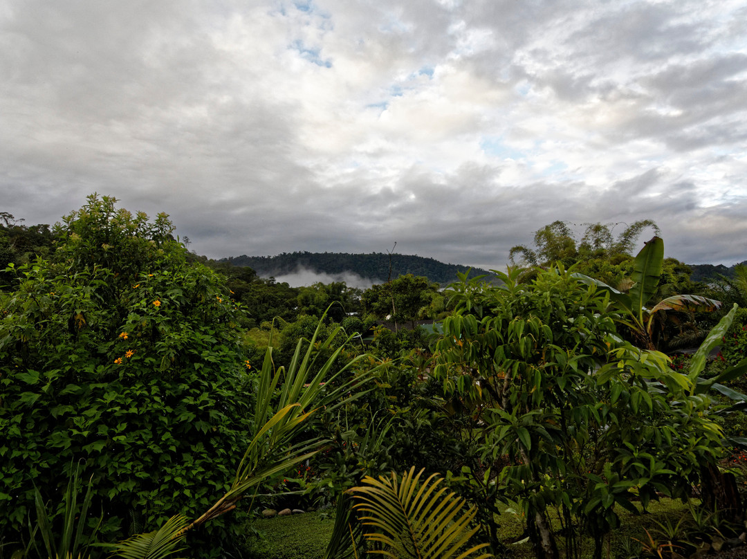 Mindo Coffee Lodge Spa主图