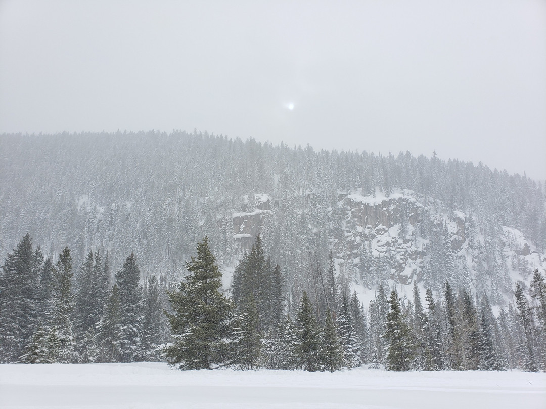 High Mountain Snowmobile Tours-斯廷博特斯普林斯必去景点