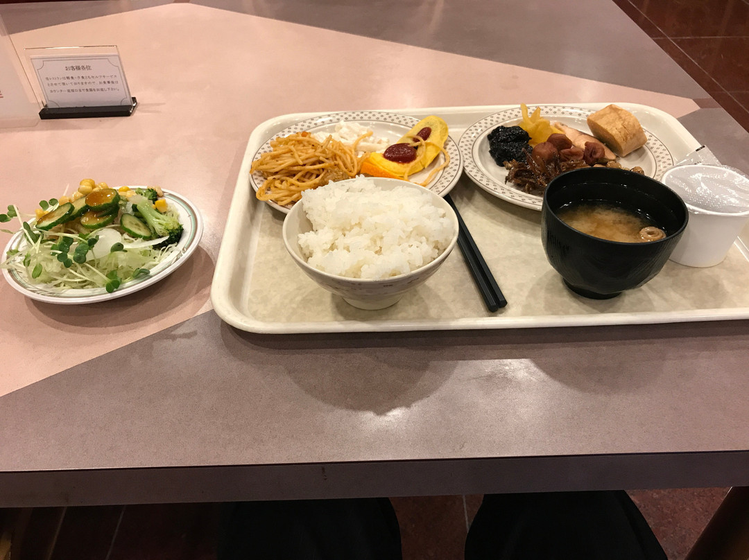 Yonago Universal Hotel (ekimae)主图