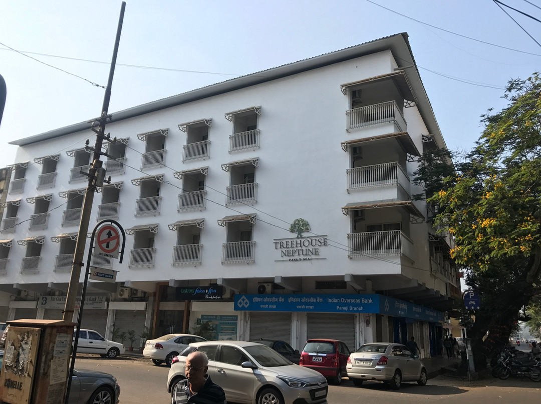 Treehouse Neptune主图