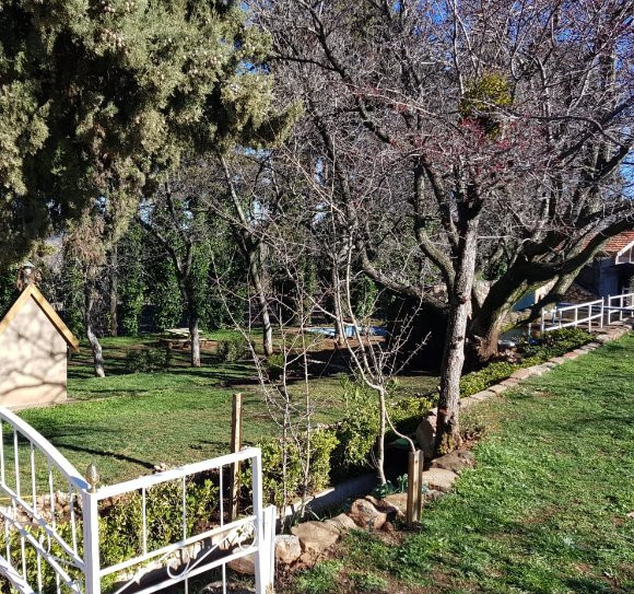 Le Palais des Cerisiers主图