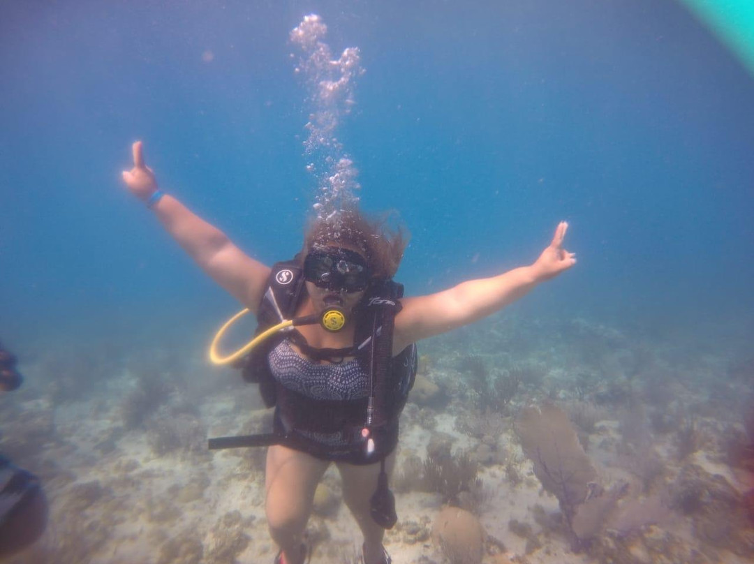 Centro De Buceo Narval景点图片