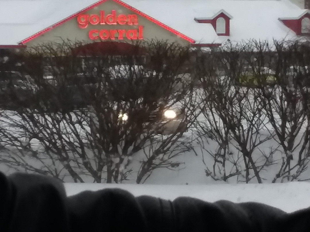 Homewood Suites by Hilton Davenport主图