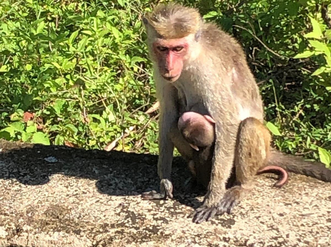 Cango Tour-亚洪加拉必去景点