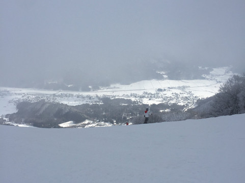 白马五龙滑雪场 / 高山植物园-白马村必去景点