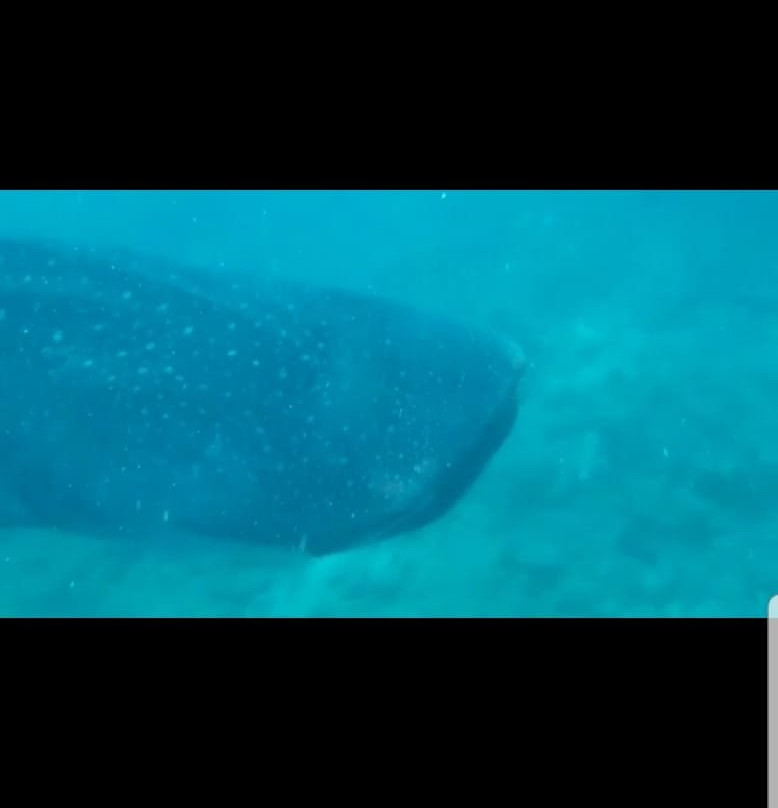 Noovilu Suites Guesthouse Maldives主图