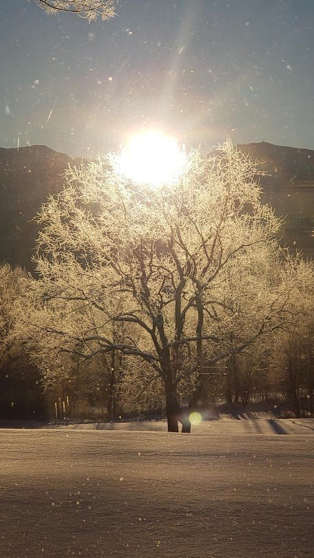 The Sunset Hill House主图