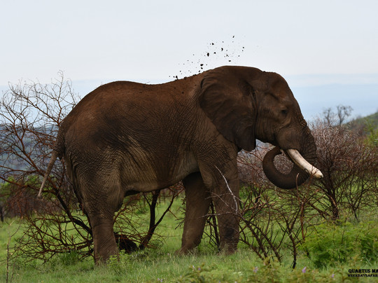 Weekdaysafaris-比勒陀利亚必去景点