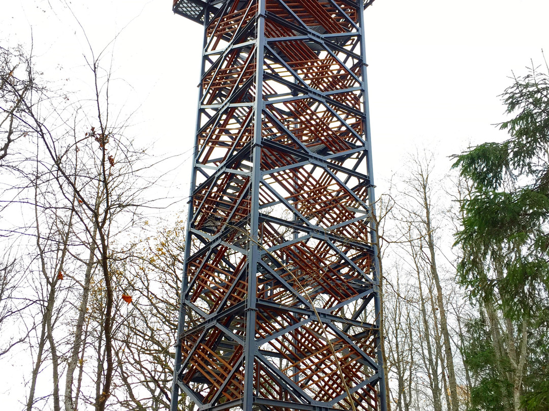 Aluksne旅游景点-Korneti Watchtower