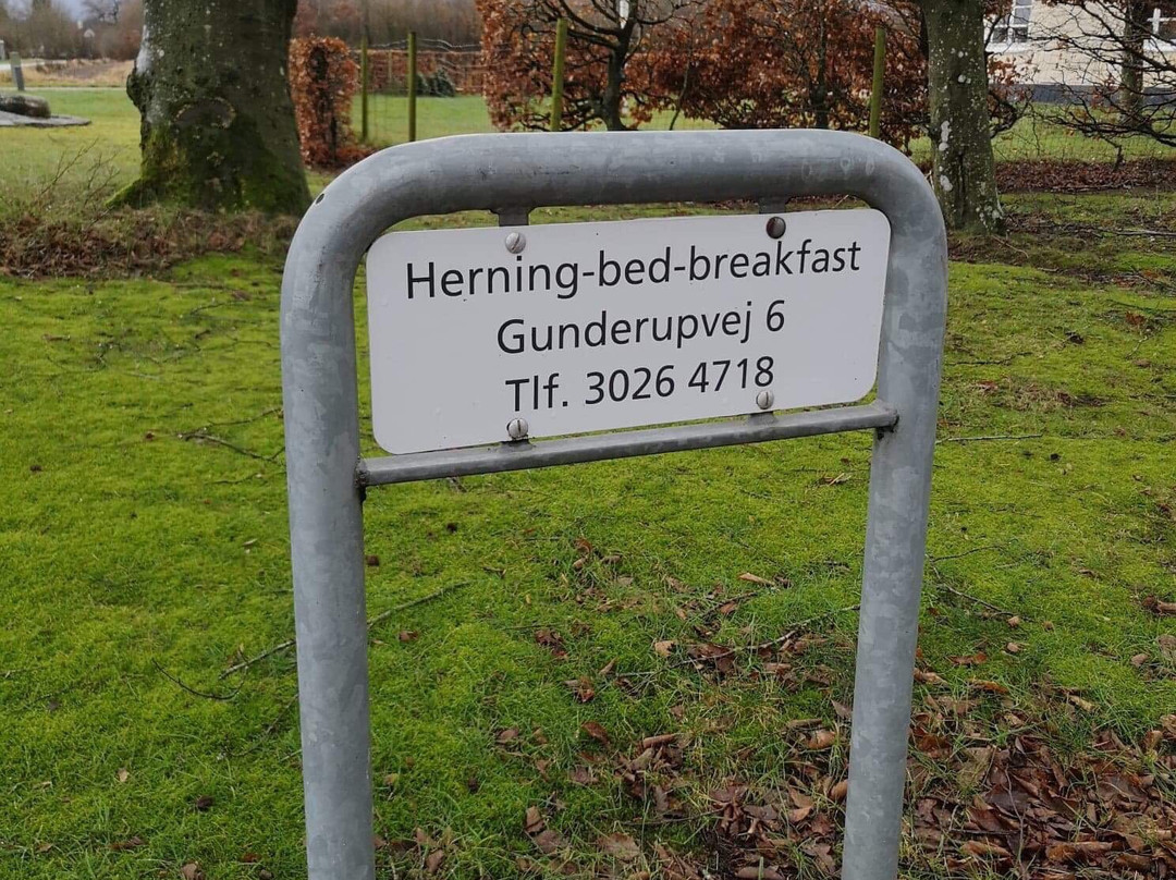 Herning Bed & Breakfast主图