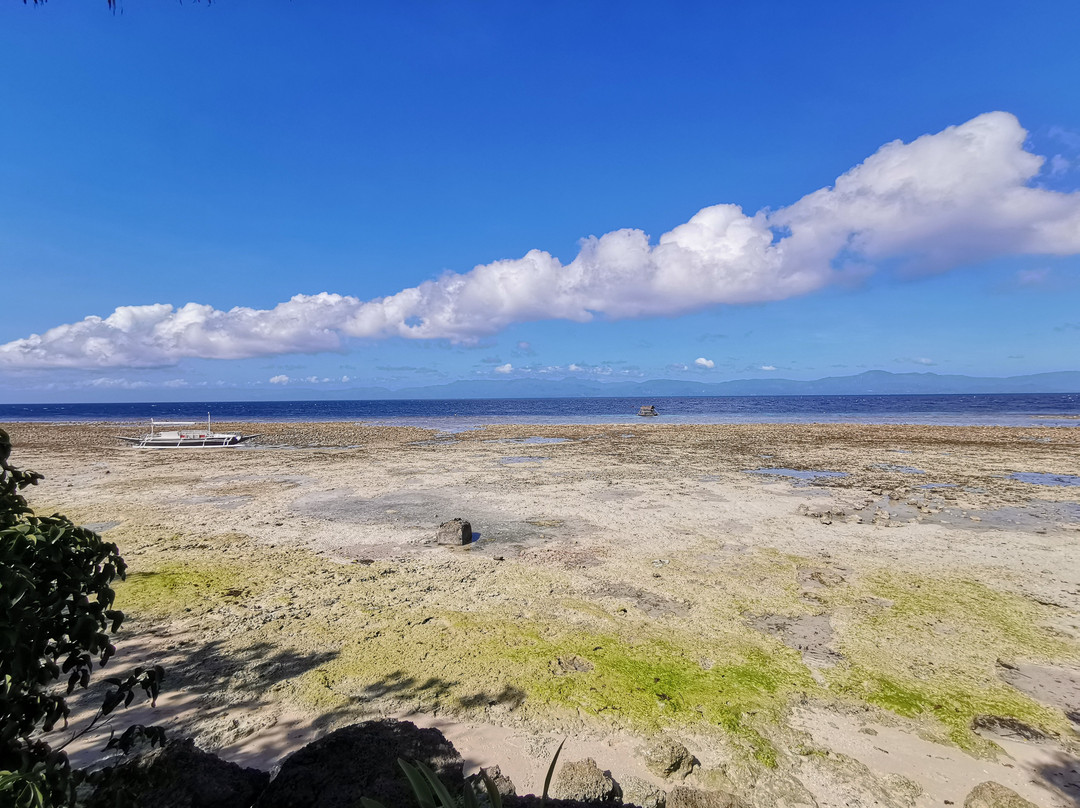 Hale Manna Coastal Gardens主图