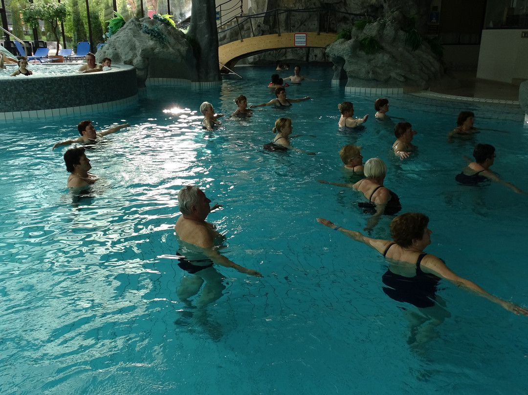 Aquapark & Wellness - Vodni Park Bohinj-Bohinjska Bistrica必去景点
