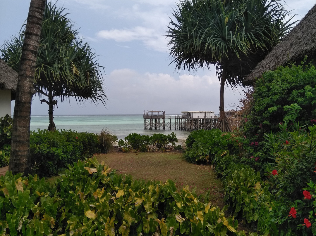 桑给巴尔酒店主图