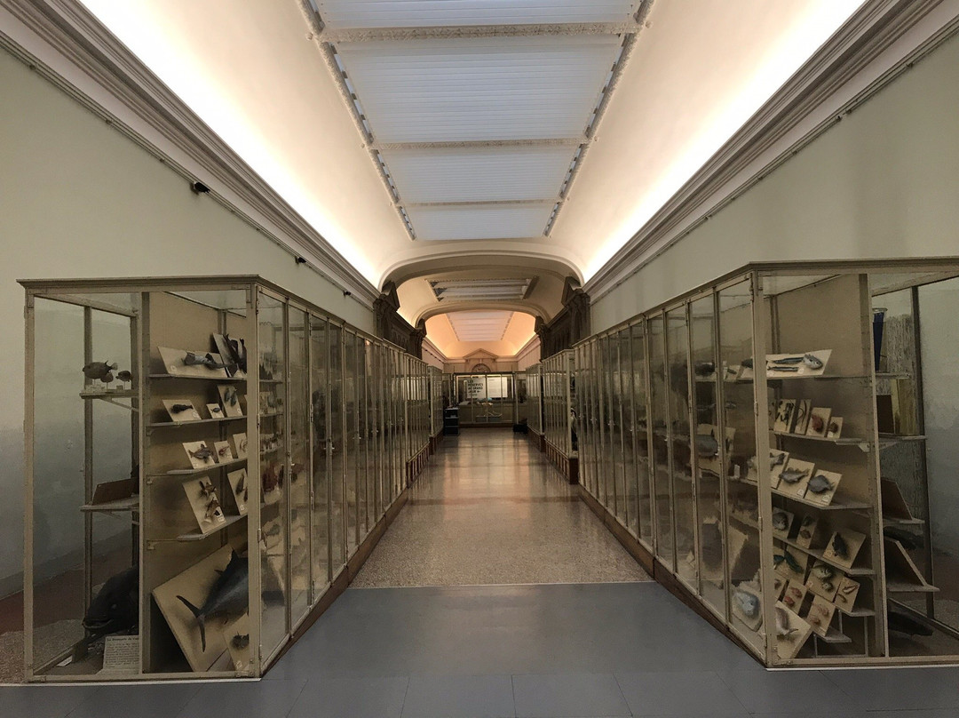 Musée de Zoologie Lausanne景点图片
