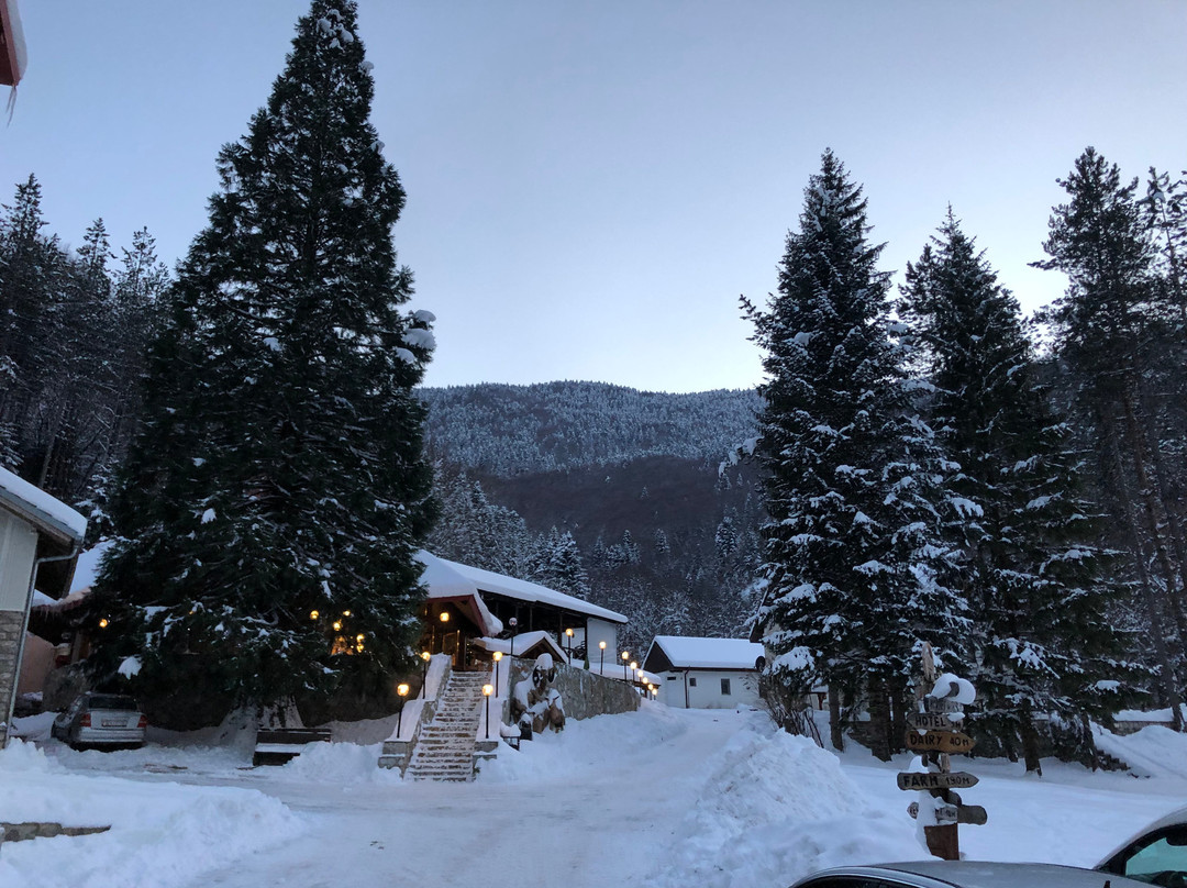 Hotel Korab Trnica主图