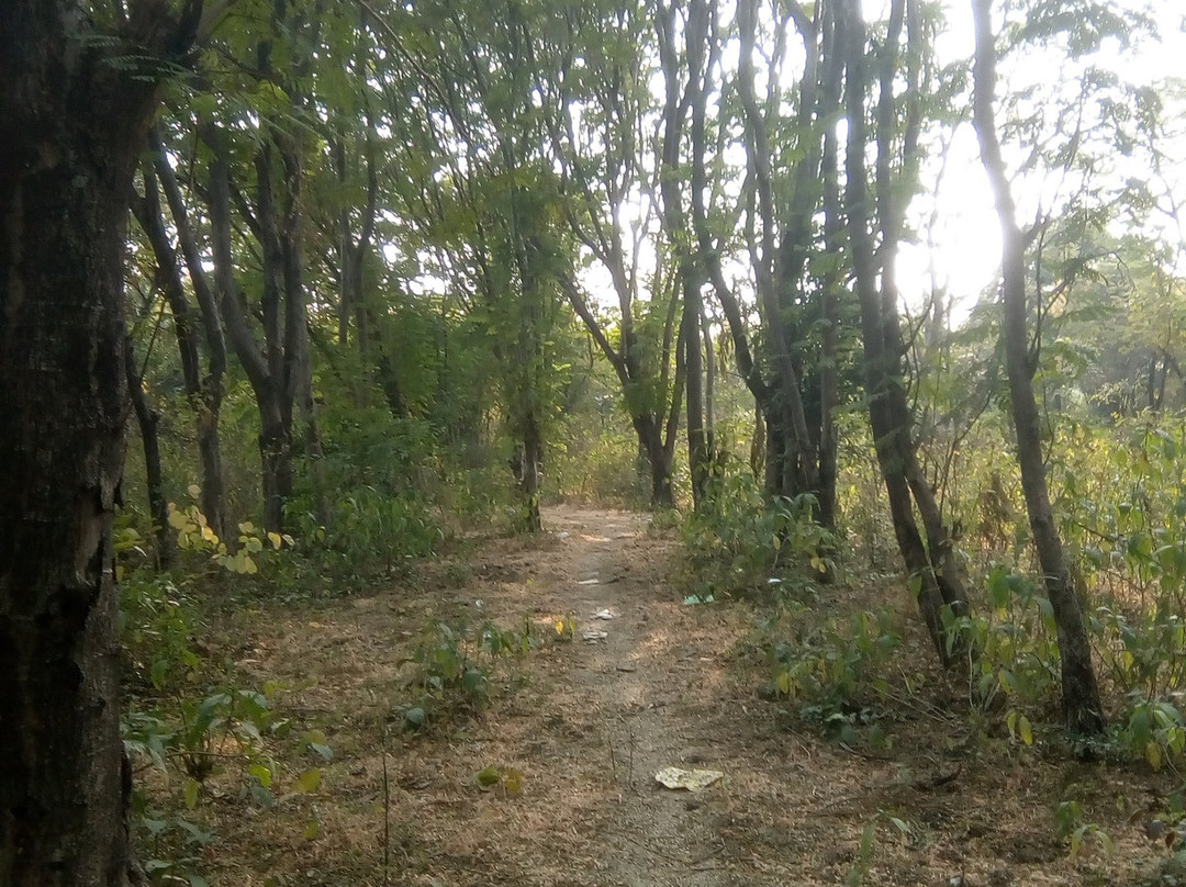 MPT Jungle Resort, Udaigiri主图