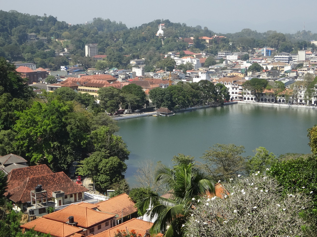 Pure Nature Hotel Kandy主图