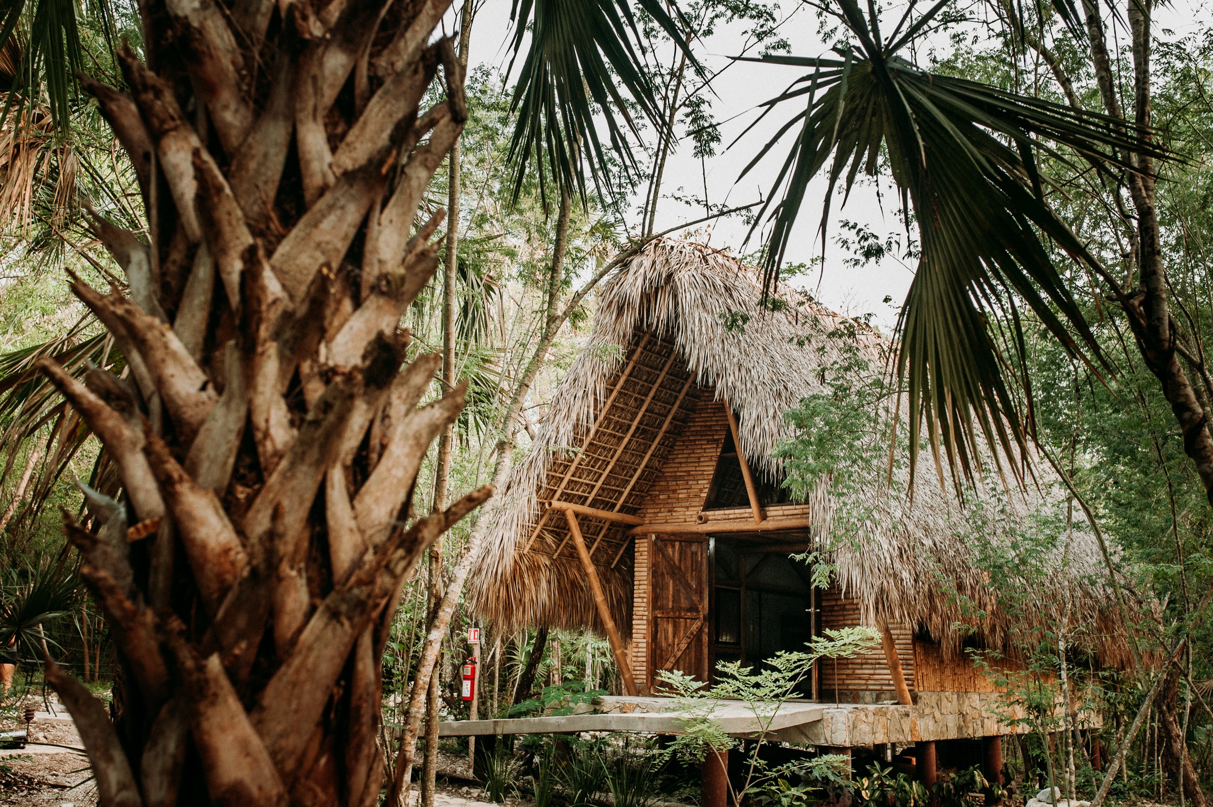 Selva Teenek Ecopark-官方