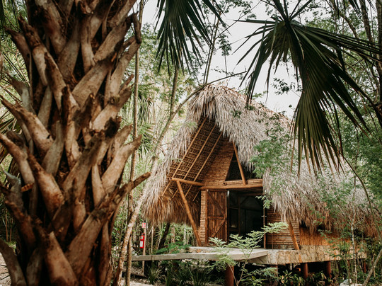 Selva Teenek Ecopark主图