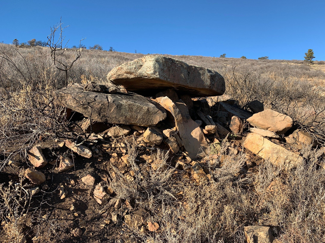 Coyote Ridge Natural Area-科林斯堡必去景点