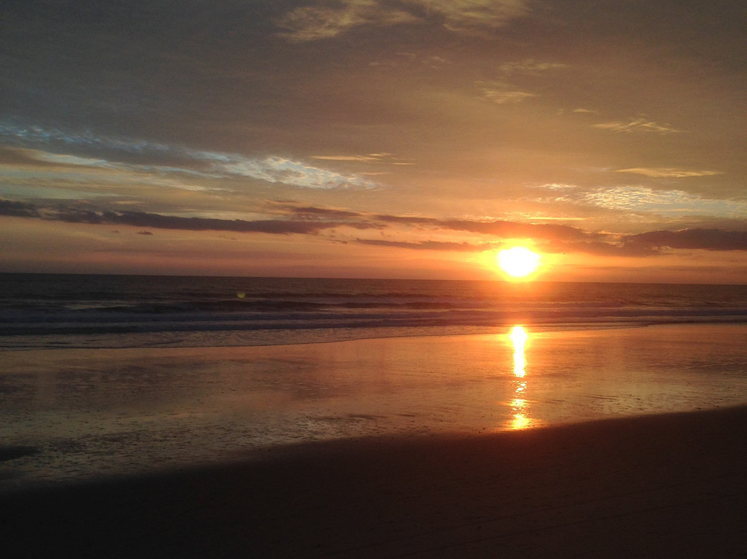Playa de Matalascañas景点图片