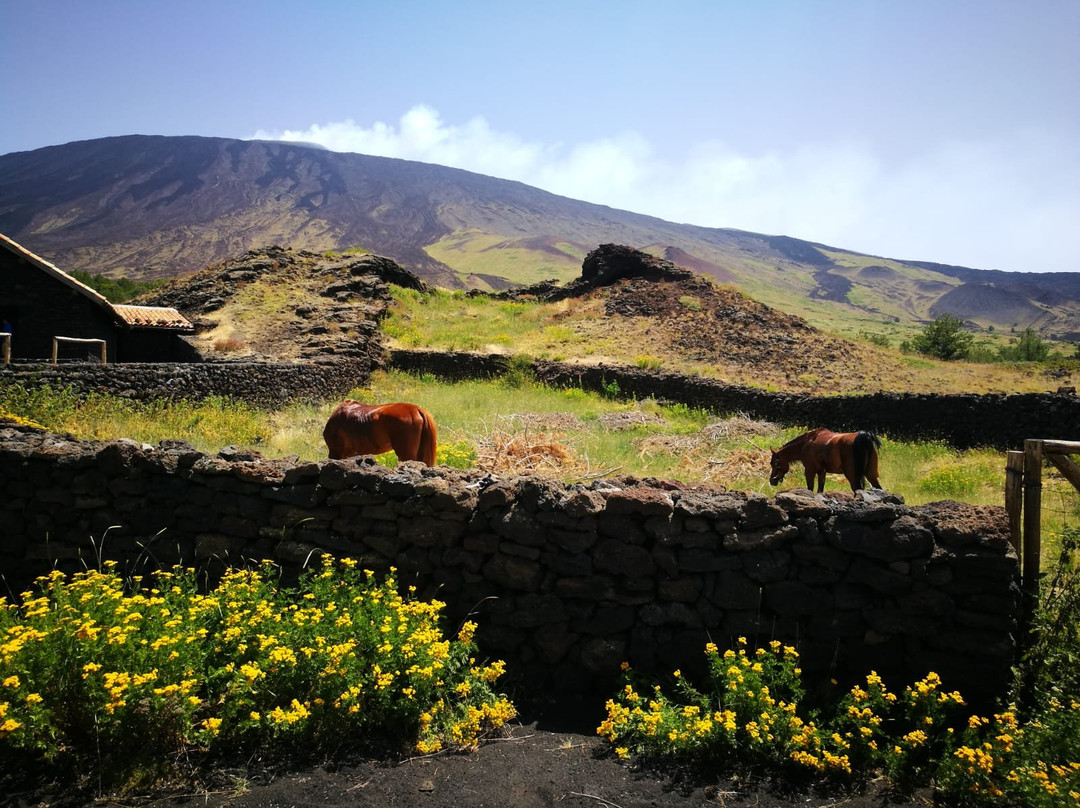 Etna Horse Paradise-Belpasso必去景点