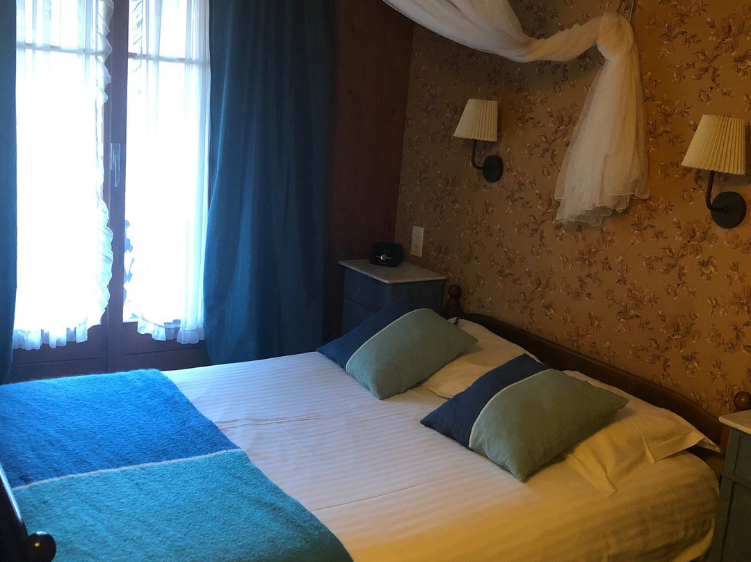 Hotel des Alpes主图