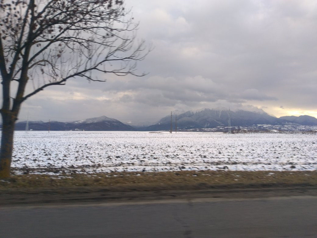 Transilvania Driver景点图片