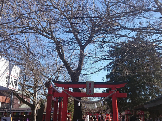 Myosen-ji Temple-东金市必去景点