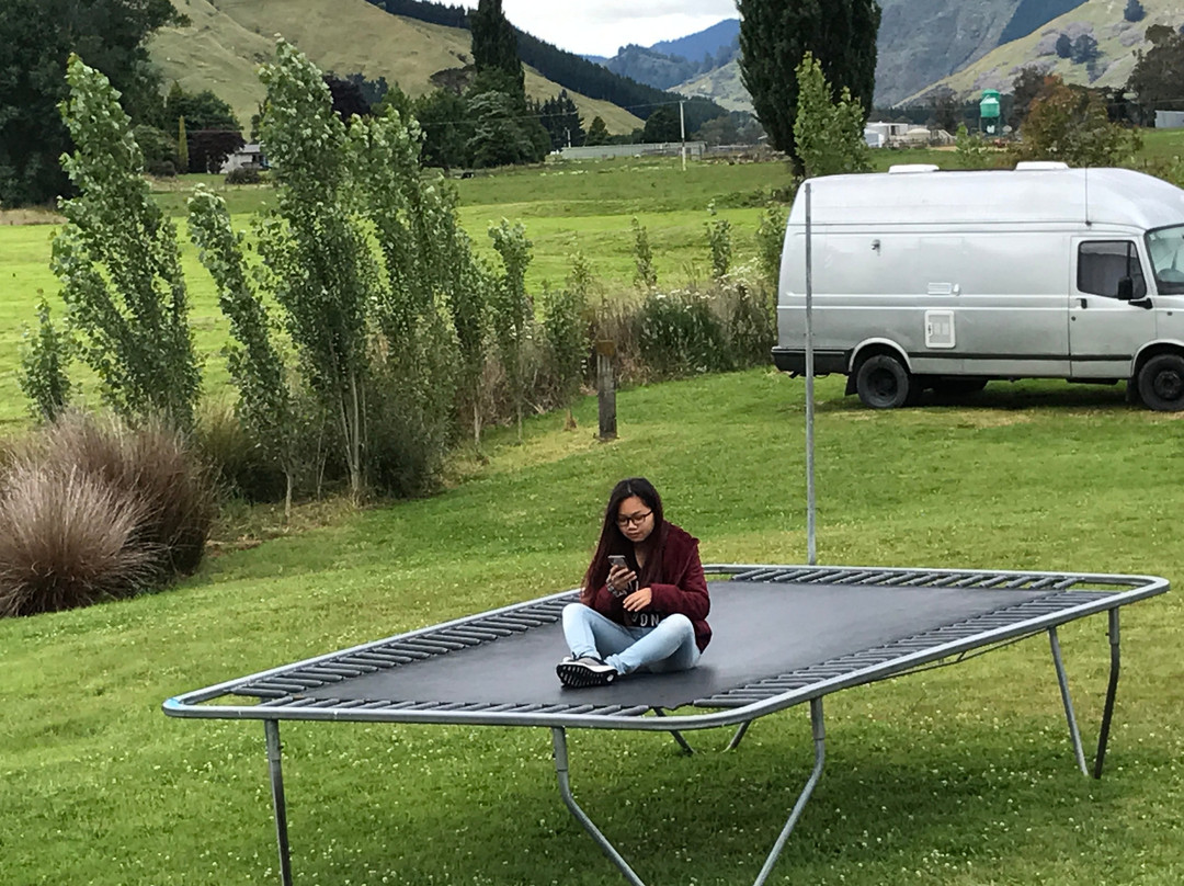 Waves Campsite主图