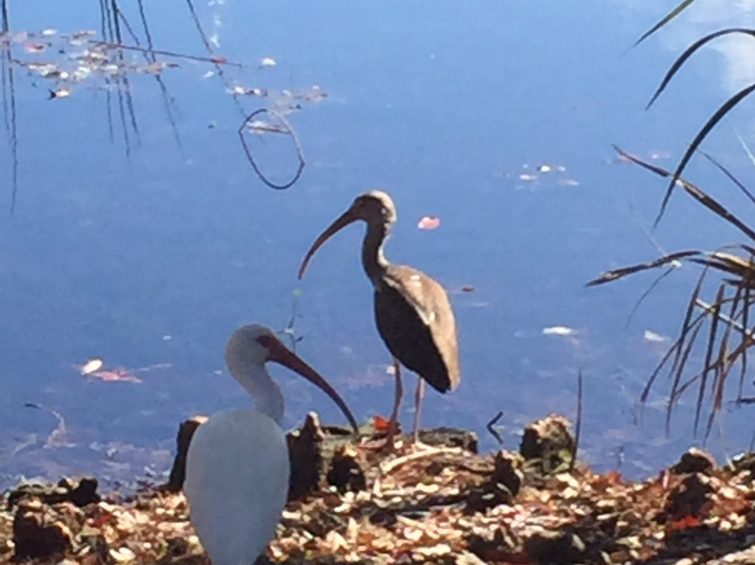 Secret Lake Park-卡塞尔伯里必去景点