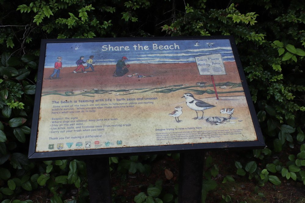 Tahkenitch Creek Loop Trail景点图片