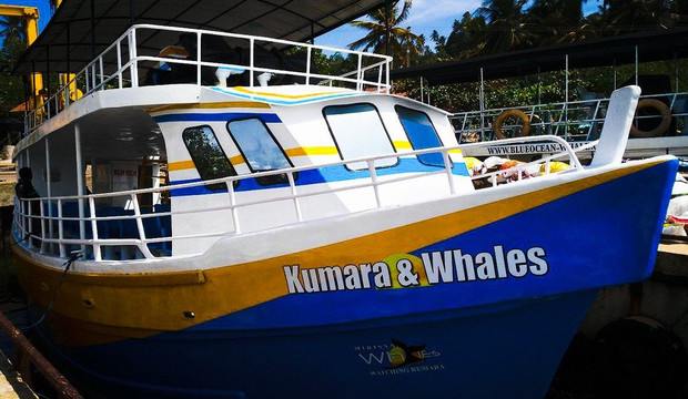 Kumara and Whales-美蕊沙必去景点