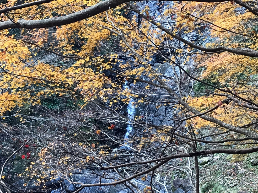 Asahi Falls-伊豆市必去景点