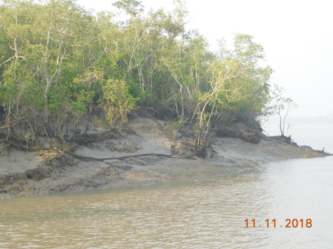 Mangrove Eco Garden景点图片