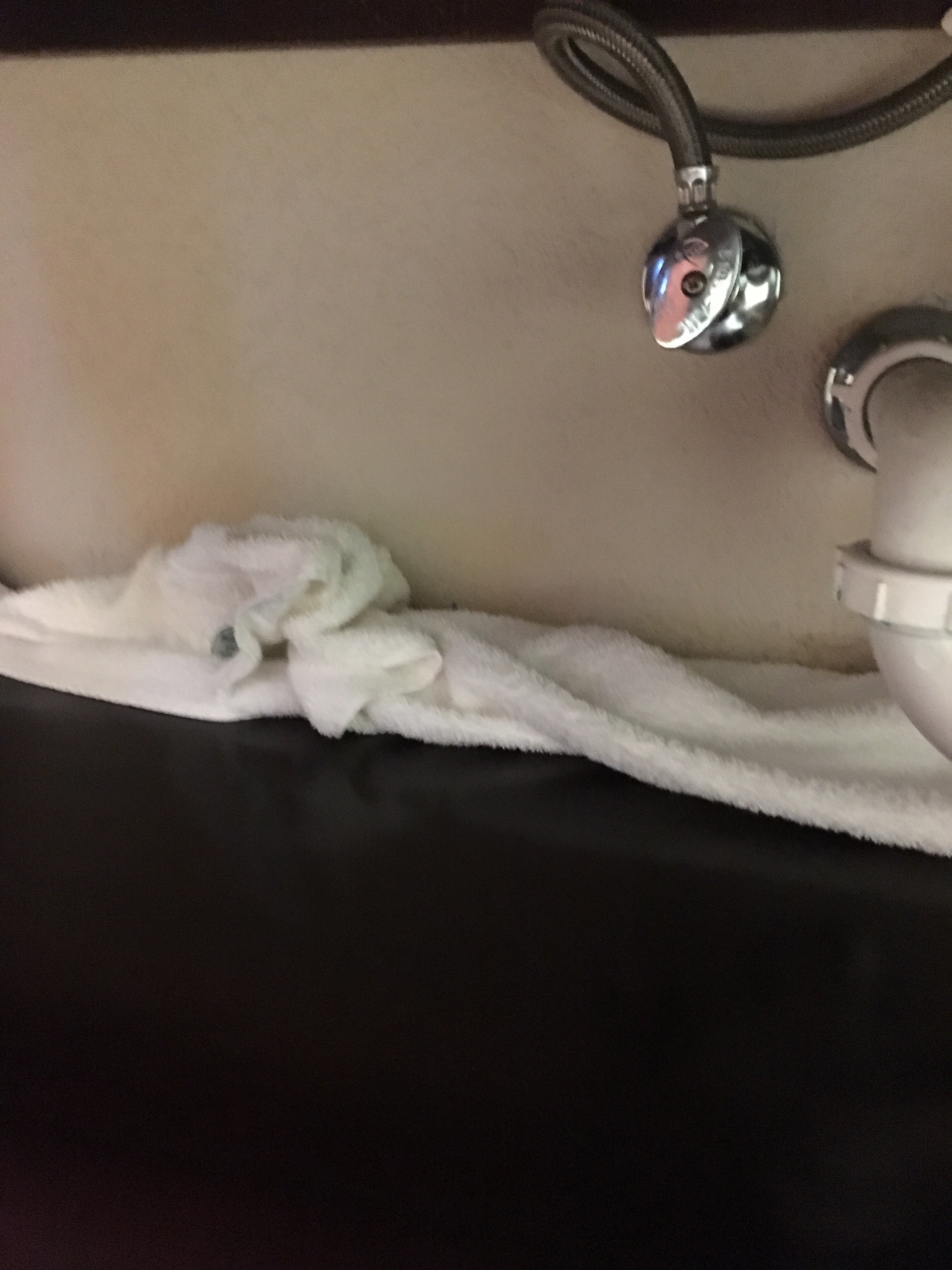 Lake Texoma Inn and Suites-浴室