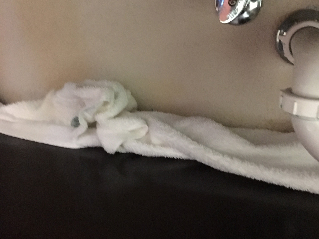 Lake Texoma Inn and Suites主图