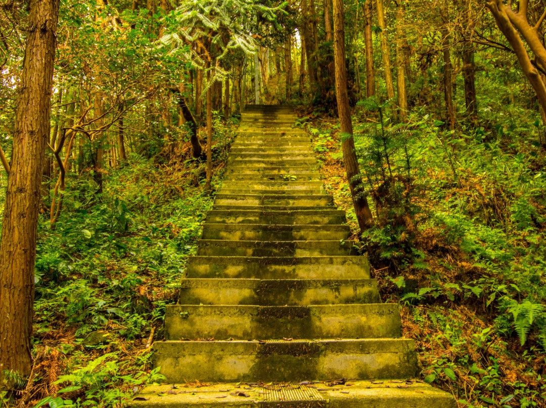 东石笋景区-六安市必去景点