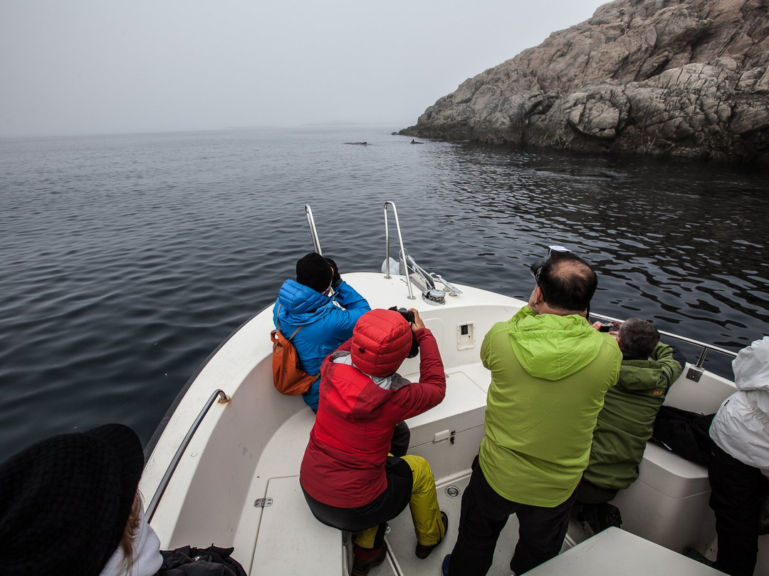 Visit Sisimiut-Sisimiut必去景点