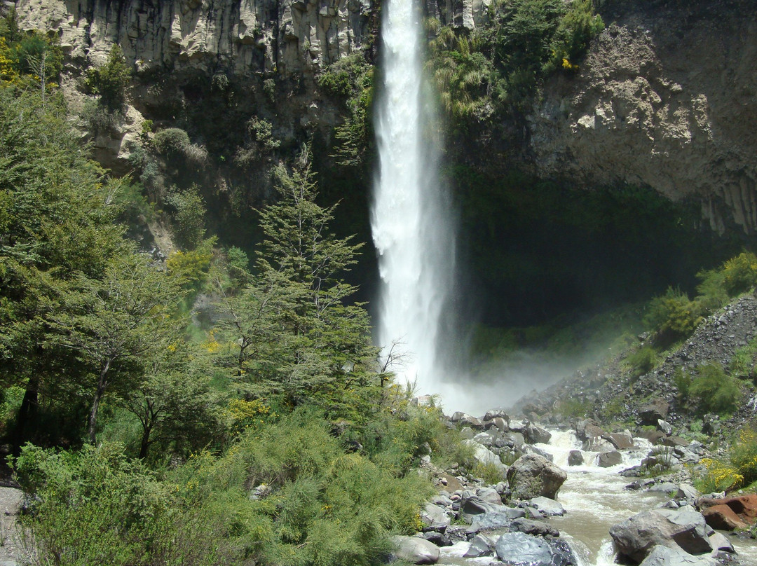 Parque Nacional Laguna del Laja景点图片
