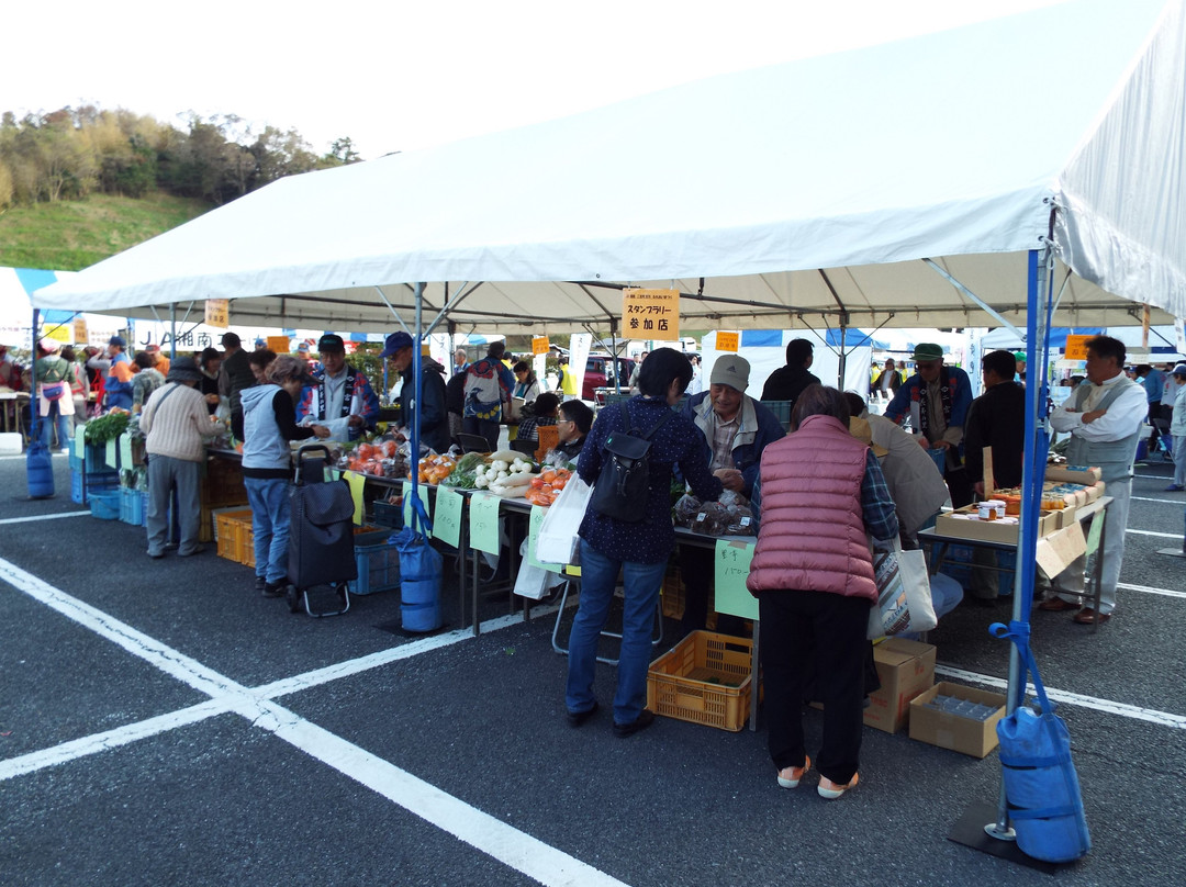 Radiant Flower Hill Park-二宫町必去景点