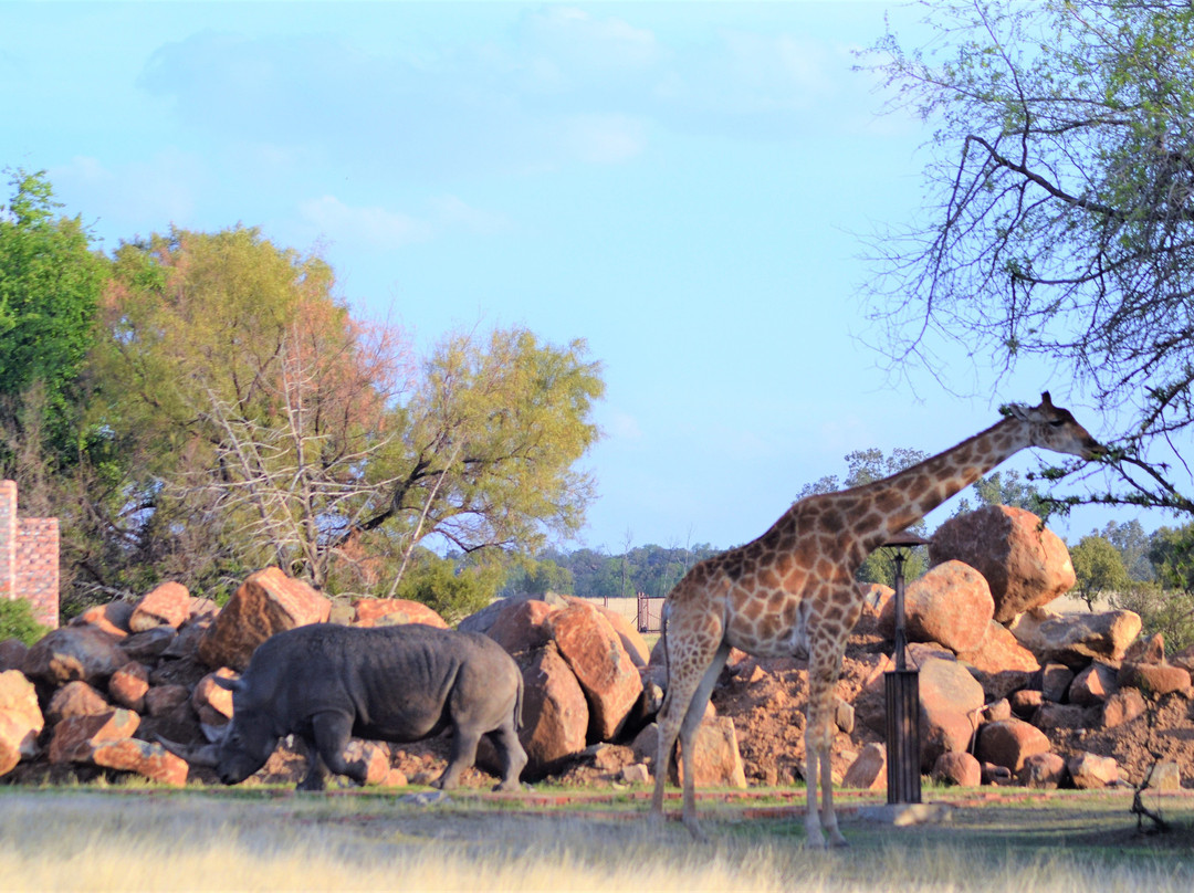 Emoya Basotho Lodge & Spa主图