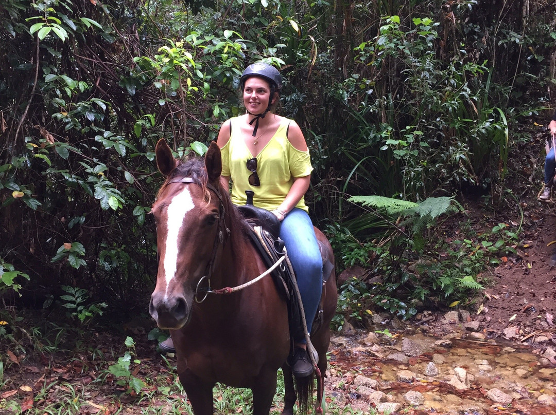 Reinsdown Horse Riding-Tully必去景点