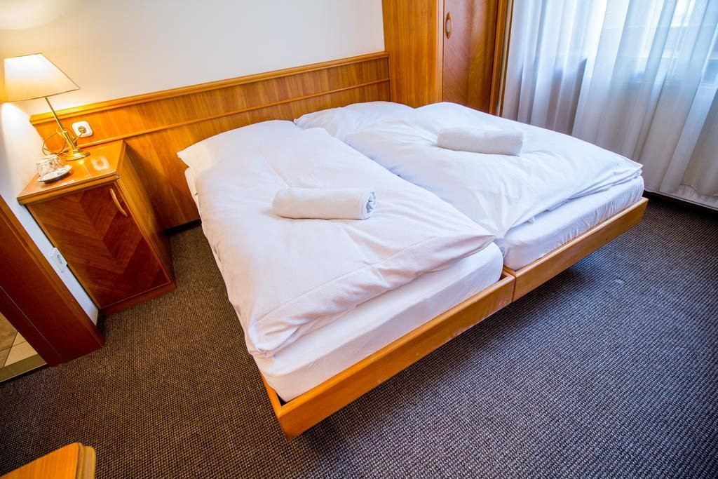 Hotel Corvinus主图