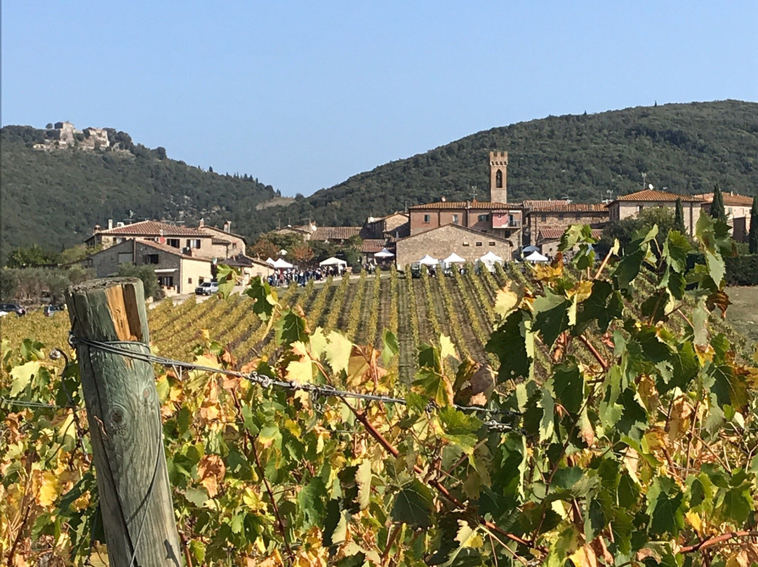 Villa di Sotto主图