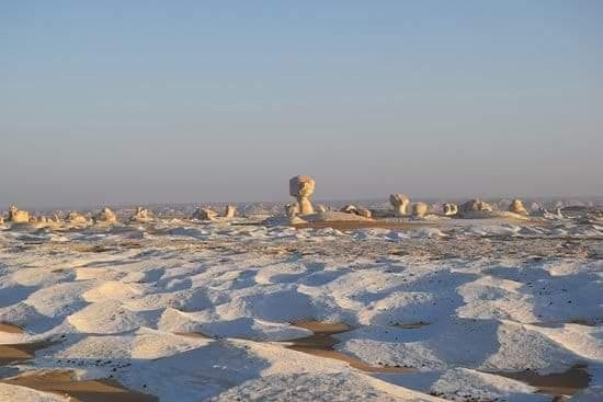 White Desert Camp Safari