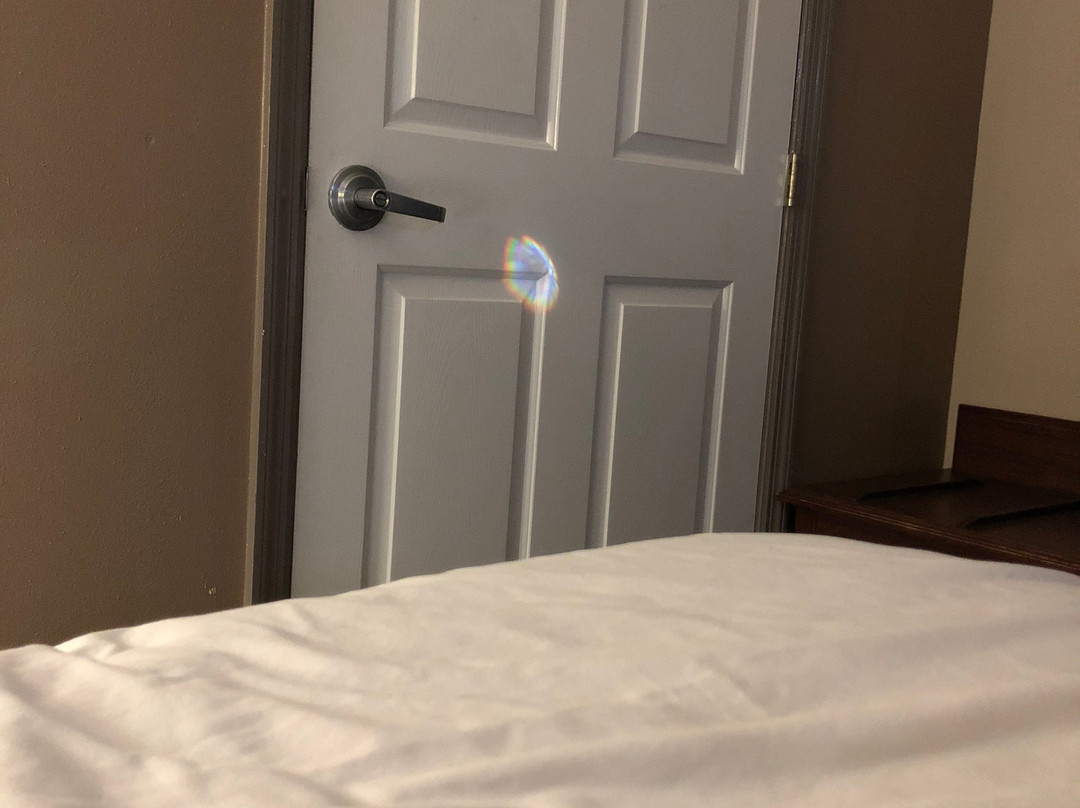 Baymont by Wyndham Smithfield主图