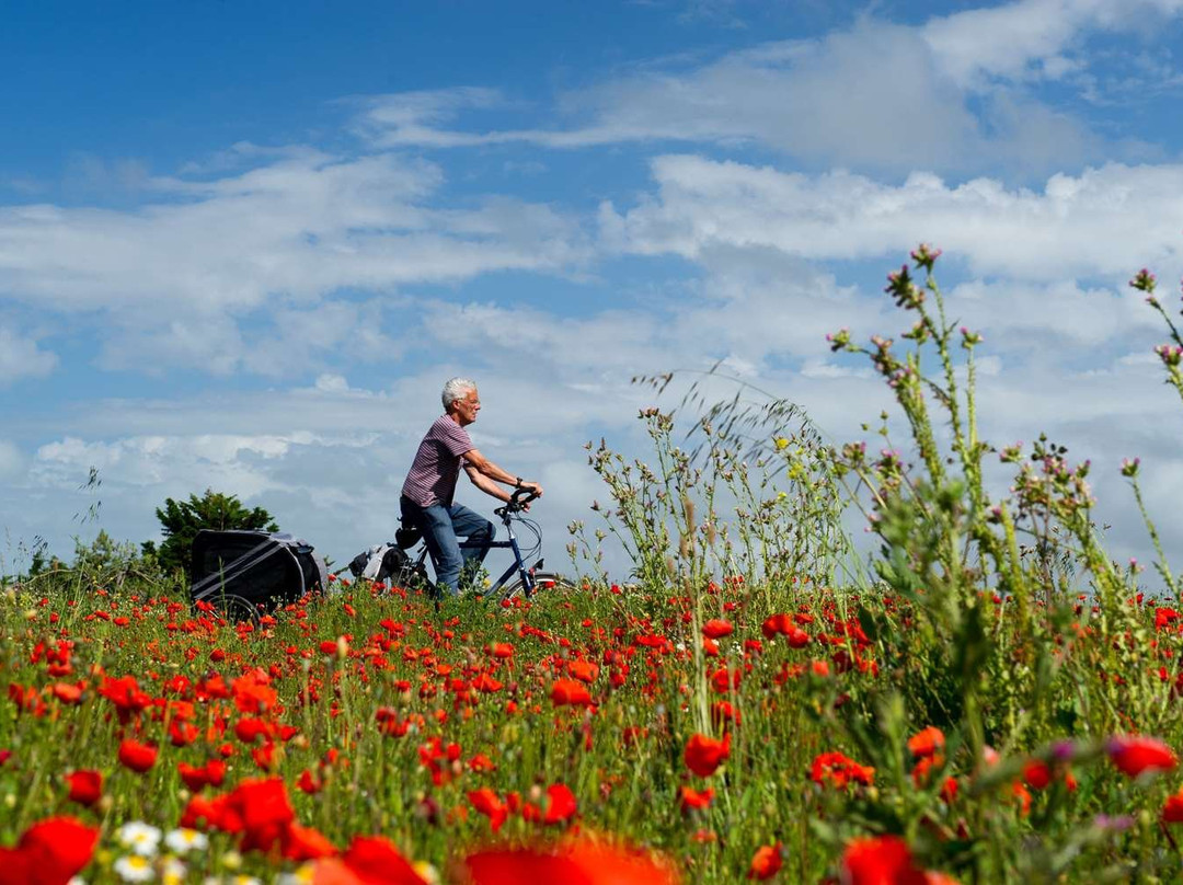 维瑟朗格伽尼酒店主图