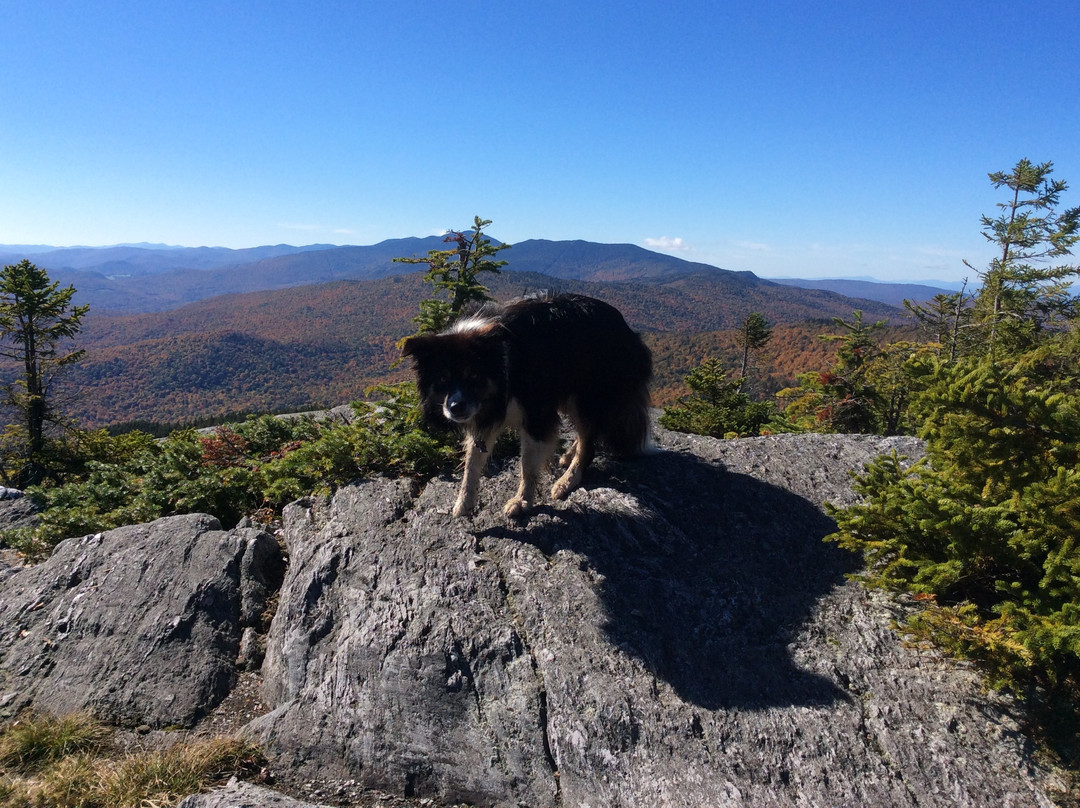 Johnnycake Flats Inn主图